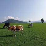 Schaedlerhof *