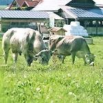 农家乐 Schaedlerhof