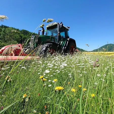 Séjour à la ferme Schaedlerhof *