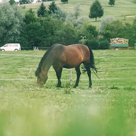 Schaedlerhof Séjour à la ferme