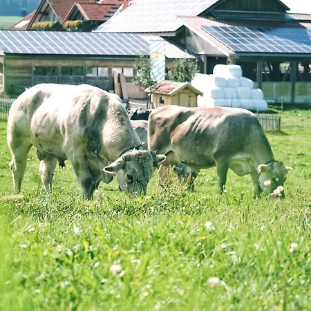 Séjour à la ferme Schaedlerhof