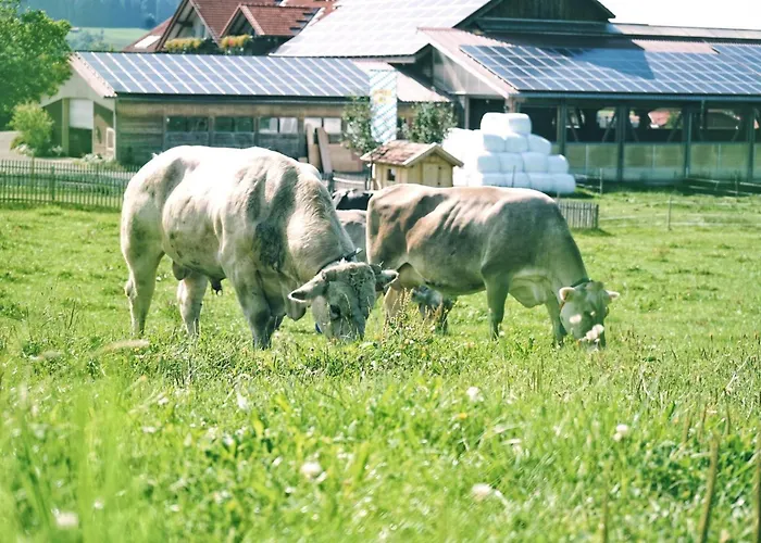 Bauernhof Schädlerhof